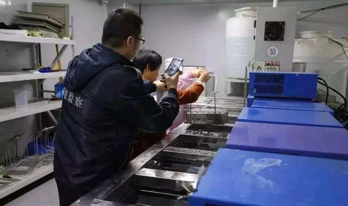 深圳環保消防嚴查風暴下，一家工廠的關閉與反思