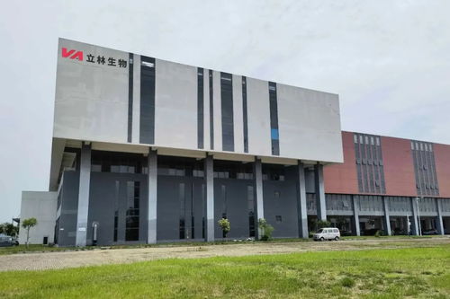 雙品牌驅動，投資過億建雙工廠 投資管理新策略探析